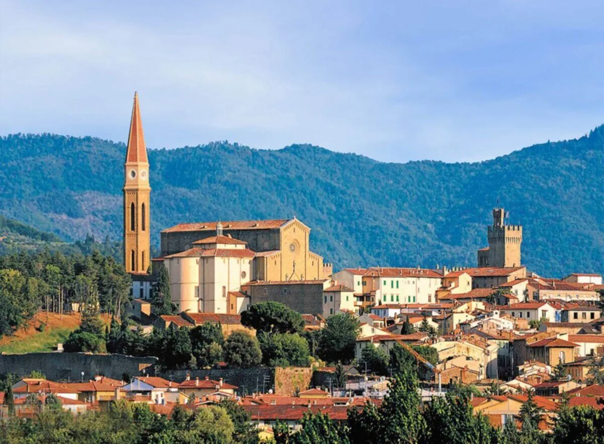 Arezzo, Italy - where Mocha closed her European campaign with Best of Breed on both days