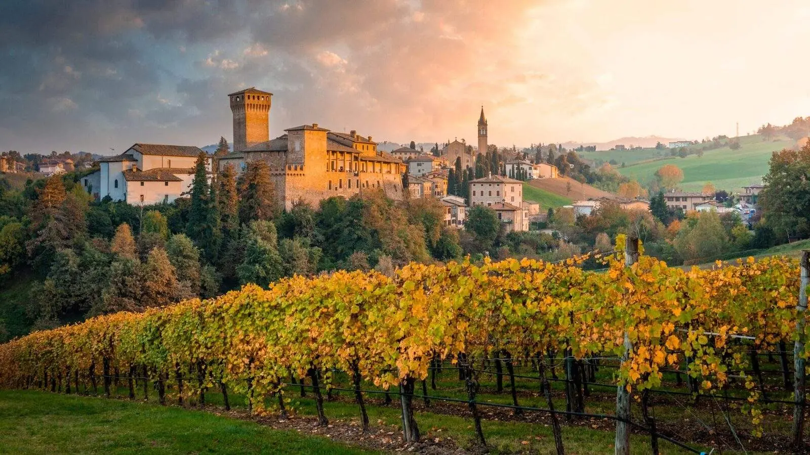 Emilia-Romagna - vineyard landscape near Modena, the heartland of the Lagotto Romagnolo